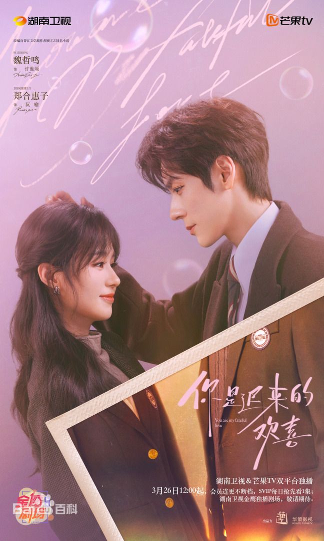 你是迟来的欢喜(2026)